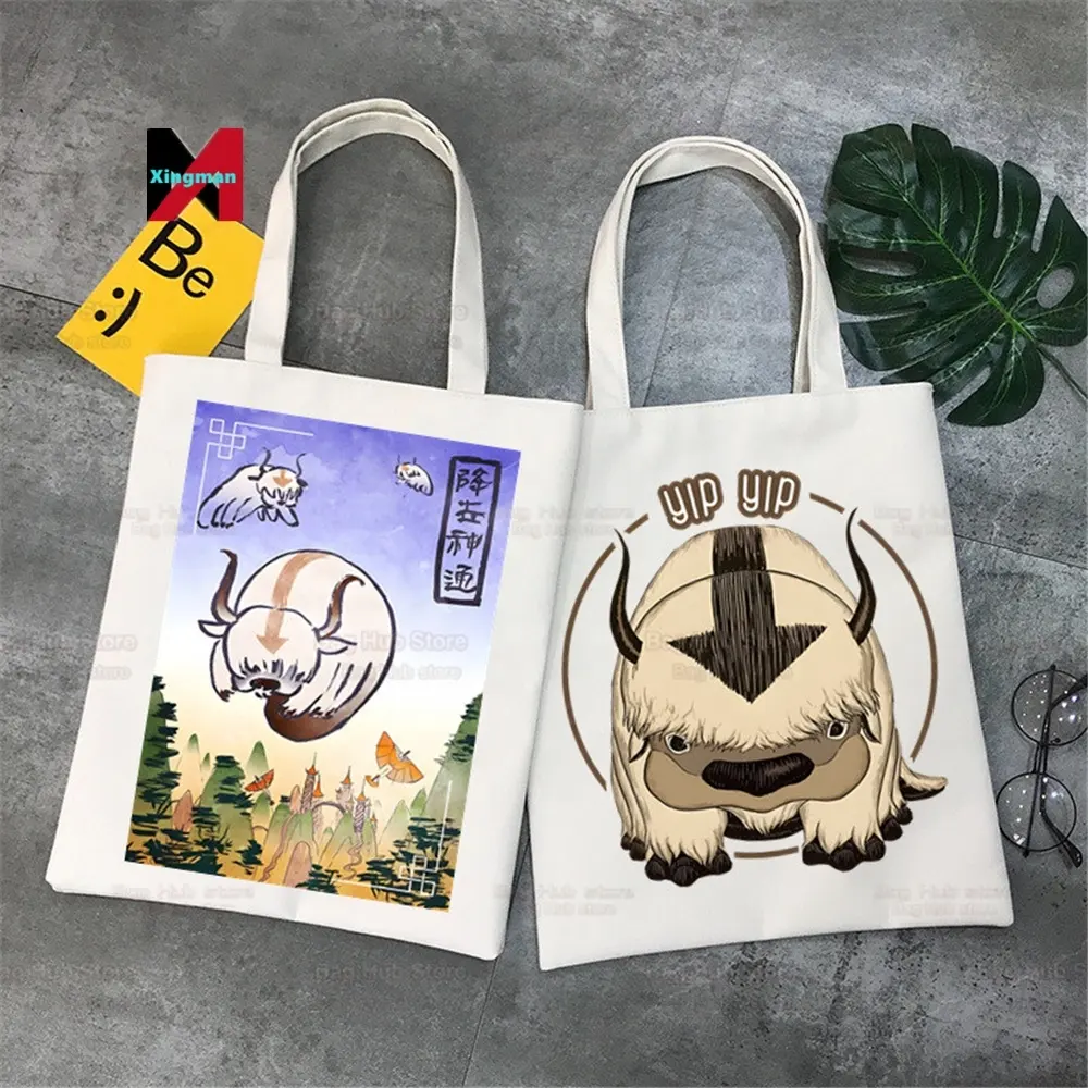 Avatar De Laatste Airbender Herbruikbare Shopping Vrouwen Canvas Anime Water Earth Fire Air Tote Bags Eco Shopper Schoudertassen