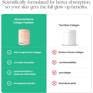 Poudre de collagène marin biotine pour une meilleure absorption, sans sucre, éclaircissante, lissante et blanchissante pour la peau, OEM/ODM. - Product Image 2