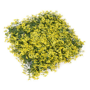 Murs grimpants artificiels en bois de boho, fausses plantes en escalade, mur de plantes à légumes - Product Image 2