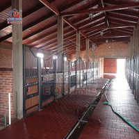 Façade de box pour chevaux arabes de luxe, finition premium, surfaces en acier faciles à nettoyer, conçues par Shinehope pour une utilisation quotidienne dans les fermes royales.