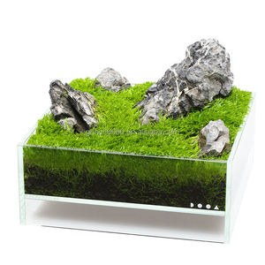 2023新製品アクアテラリウムタンクガラス空気の森水族館水生植物ポット成長キット - Product Image 1