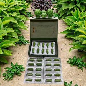 Oem 2025 חדש פרימיום לטהר קפסולה עבור נשים ללא gmo שליטה במשקל קפסולות הרזיה קפסולות צמחים צמחים - Product Image 3