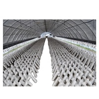 Easy Install Amushroom Greenhouse