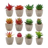 Plantes succulentes artificielles en pot de qualité supérieure Tmy Factory, mini plantes succulentes décoratives pour la maison, le bureau, la table