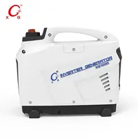 Outdoor Licht 1,2 kVA Benzin Generator LPG System Digital Inverter-Generator 1000W Tragbare Recoil Starten Mini Generator