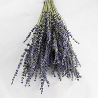 Bunga Lavender kering kerajinan alami penjualan laris harga rendah pabrik grosir bunga Lavender kering untuk rumah acara dekorasi pernikahan Lavender