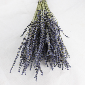 Commercio all'ingrosso di fabbrica a basso prezzo vendita calda artigianato naturale fiori secchi di lavanda per la decorazione di nozze evento domestico lavanda - Product Image 2