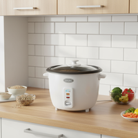 Cuisinière à riz commerciale pour restaurant, grande capacité, corps en acier inoxydable, cuisinière à riz automatique pour appareils de cuisine