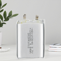 Haut-parleur numérique personnalisable 103040 à batterie lithium solide, pochette d'éducation précoce, meilleure marque, 500 cycles, pour consommateurs