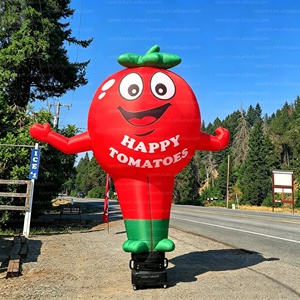 <span class=keywords><strong>Tomate</strong></span> géante gonflable lumineuse à LED <span class=keywords><strong>de</strong></span> 3 m, modèle <span class=keywords><strong>de</strong></span> mascotte <span class=keywords><strong>de</strong></span> <span class=keywords><strong>tomate</strong></span> <span class=keywords><strong>de</strong></span> dessin animé avec logo personnalisé pour la publicité extérieure/promotion <span class=keywords><strong>de</strong></span> marque - Product Image 1