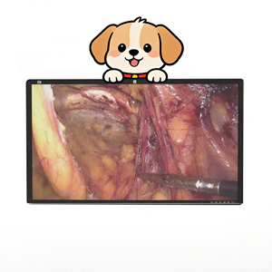 Pantalla médica grande de 55 pulgadas, monitor LCD 4K de grado médico, pantalla para laparoscopia y endoscopia veterinaria - Product Image 1