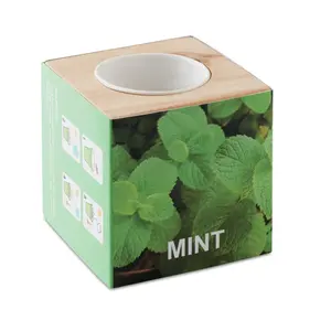 Mini barattolo MINT in legno, gadget ecologici - Product Image 1