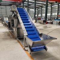 Industriële kleine schaal automatische friet- en chipslijn friteuse, voedselveilige roestvrij staal, capaciteit 300-1000kg/uur
