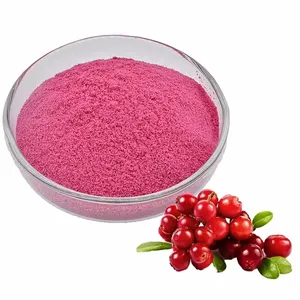 Polvere di succo di mirtillo rosso concentrato in polvere di succo di frutta rosa biologico OEM