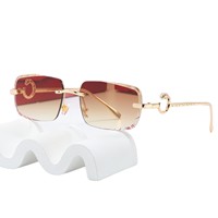 C&J Yanye Sports Lunettes de soleil multifonctionnelles de luxe tendance avec protection UV motif léopard pour l'extérieur, accessoires de mode