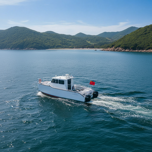 Bateau de pêche en catamaran en aluminium certifié CE de 10 mètres, 12 sièges passagers, deux moteurs hors-bord pour la navigation en haute mer - Product Image 4