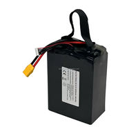 Batterie au lithium solide à haute densité énergétique 400Wh/kg 22.2V 66000mAh 6S2P, longue autonomie, pour drones professionnels