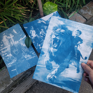 Papier cyanotype blanc A4 original le plus vendu, papier d'impression sensible à la lumière, motif animal, vente directe fabricant - Product Image 5