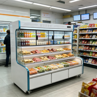 Vitrine Réfrigérée à Trois Niveaux avec Portes Coulissantes en Verre pour Restaurant et Supermarché – Congélateur d'Exposition