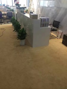 Moquette en rouleau tissée en polaire touffetée pour hôtel, <span class=keywords><strong>pas</strong></span> chère, en polypropylène, pour couloir, mur à mur - Product Image 6