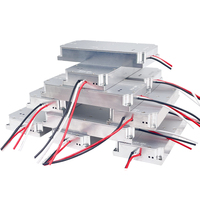 Module amplificateur de puissance RF à fréquence personnalisée 30W 50W 100W 433M 900M 1.2G 1.5G 2.4G 5.8G, module amplificateur de signal RF haute puissance