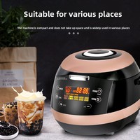 Machine à Perles de Tapioca Entièrement Automatique et Intelligente en Plastique Commercial pour Salons de Thé