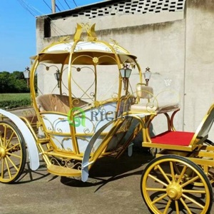 Calèche Citrouille Romantique : Design Élégant pour Parcs Panoramiques, Photographie de <span class=keywords><strong>Mariage</strong></span> et <span class=keywords><strong>Location</strong></span> Commerciale - Product Image 6