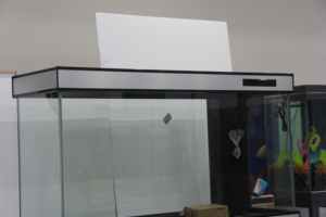 25W Led-Verlichtingssysteem Modern Rechthoekig Ontwerp Glazen Rifaquarium Grote Capaciteit Voor Exotische Vissen En Kleurrijke Koralen Display - Product Image 5