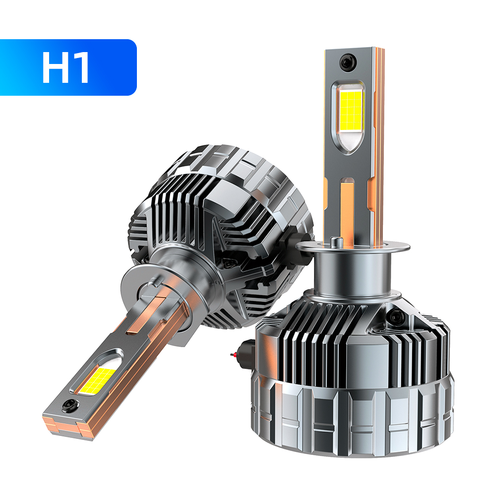 H1