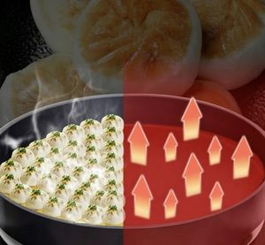 Crêpière Électrique Ronde <span class=keywords><strong>Professionnelle</strong></span> Automatique Grande Capacité pour Restaurant Commercial – Prix Abordable - Product Image 6