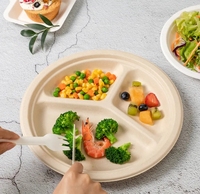 Assiettes jetables en bagasse 100% compostables, robustes, biodégradables, blanches, rondes, 9 pouces, trois compartiments, 50 unités