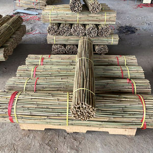 Canes en bambou naturel de haute qualité, piquets en bambou agricoles pour le soutien des plantes de pépinière, des fleurs et des tomates - Product Image 1