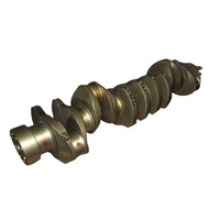 Vilebrequin de moteur diesel de haute qualité pour moteur Hino H07D