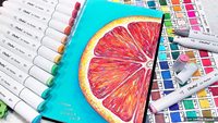 Marqueurs à alcool Ohuhu 80 couleurs uniques à double pointe Ensemble de marqueurs artistiques Livre de coloriage pour enfants et adultes Illustration