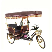 Rickshaw royal de luxe, tricycle électrique à pédale, vélo de mariage, tricycle électrique de tourisme de parade