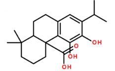 Assurance qualité 1-60% supplément d'acide carnosique poudre d'acide carnosique CAS 3650 - Product Image 3