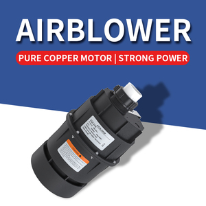 Proway vente en gros 900W <span class=keywords><strong>Spa</strong></span> souffleur d'air Whirlpool bain à remous <span class=keywords><strong>pompe</strong></span> de bain eau Massage <span class=keywords><strong>pompe</strong></span> à air - Product Image 2