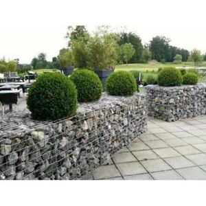 Clôture de jardin avec clips, gabion en treillis soudé Galfan/galvanisé, panier pour plantes, mur de soutènement - Product Image 3