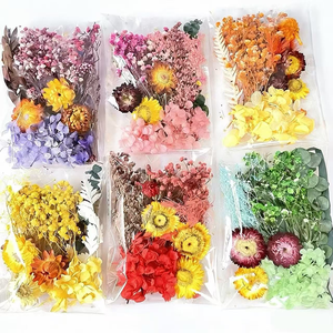 Conjunto de Plantas y Flores Secas Naturales para Velas de Aromaterapia, Manualidades con Resina y Fabricación de Joyería DIY - Product Image 3