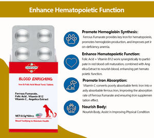 Hızlı emilim OEM ODM tahıl içermeyen organik Pet beslenme takviyeleri kan zenginleştirici kan tontonic tabletler Folic asit <span class=keywords><strong>Vitamin</strong></span> B12 - Product Image 4