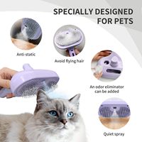 Brosse à vapeur Petop pour chat, rechargeable, avec pulvérisation, pour chiens à poils courts et longs, antistatique, outil de démêlage