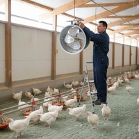 Ventilateur de circulation d'air suspendu Han Zhichen pour serre et ferme avicole, ventilateur de plafond de refroidissement à flux annulaire, OEM, avec roulement à billes en acier inoxydable
