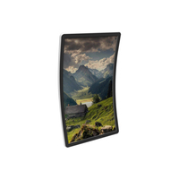Écran d'ordinateur à cadre ouvert 43 pouces 4K Haute définition Entrée Pixel Haut-parleur État Moniteurs tactiles incurvés horizontaux