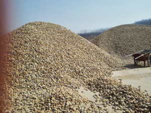 Đá sông, đá cuội, đá lớn trang trí sân vườn, chậu hoa, bể cá ngoài trời - Product Image 4