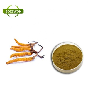 Tambour d'emballage de supplément de qualité médicale en poudre d'extrait de Cordyceps Sinensis et Ganoderma Lucidum à base de plantes - Product Image 5