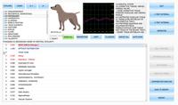 Analyseur de santé des animaux de compagnie Clinical Biophilia Guardian 2026 NLS Scan Multi-langues Fournitures pour animaux de compagnie certifiées Future Health Planner
