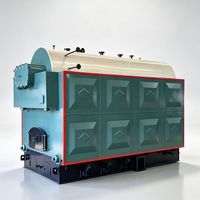 Chaudière à eau chaude industrielle à biomasse à circulation naturelle horizontale automatique pour hôtels, au charbon et au bois