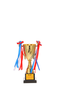 निर्माता कस्टम फुटबॉल बास्केटबॉल खेल ट्रॉफी कस्टम धातु स्वर्ण पुरस्कार क्रिकेट ट्रॉफी कप - Product Image 2