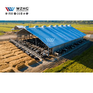 Garage multifonctionnel à structure lourde en acier Nouvel abri d'auto personnalisé à faible coût avec structure spatiale en acier au design moderne - Product Image 1