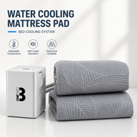 Matelas rafraîchissant hydronique, système de refroidissement de lit à base d'eau, contrôle intelligent de la température, fabricant OEM de surmatelas